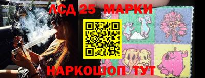 индика Лесосибирск