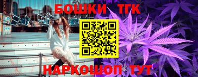 индика Лесосибирск