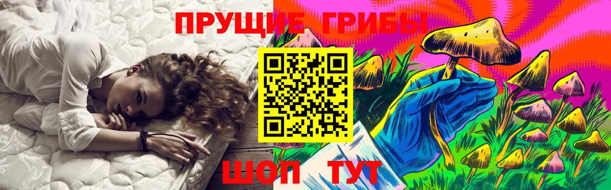 Псилоцибиновые грибы мицелий Иваново
