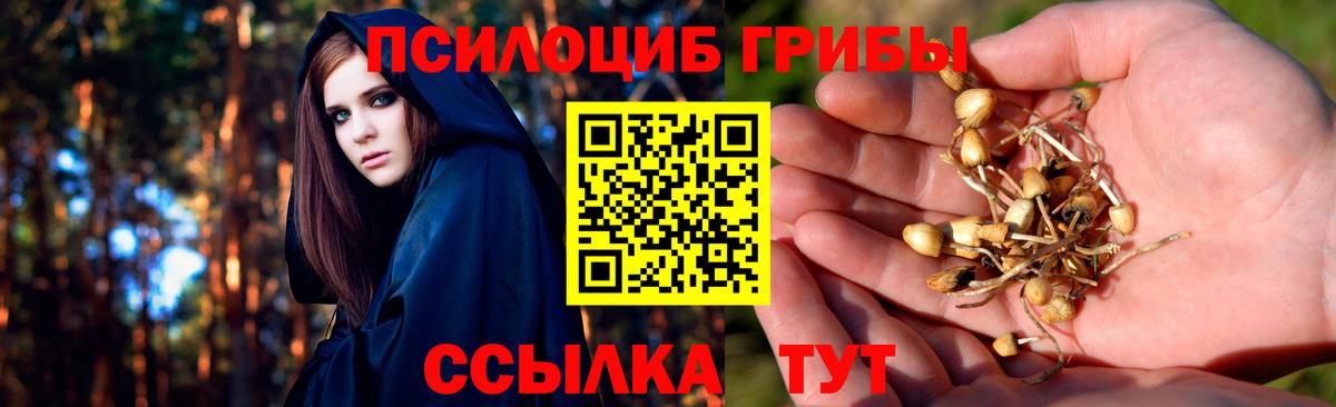 Иваново  Галлюциногенные грибы мицелий  Вход с VPN 